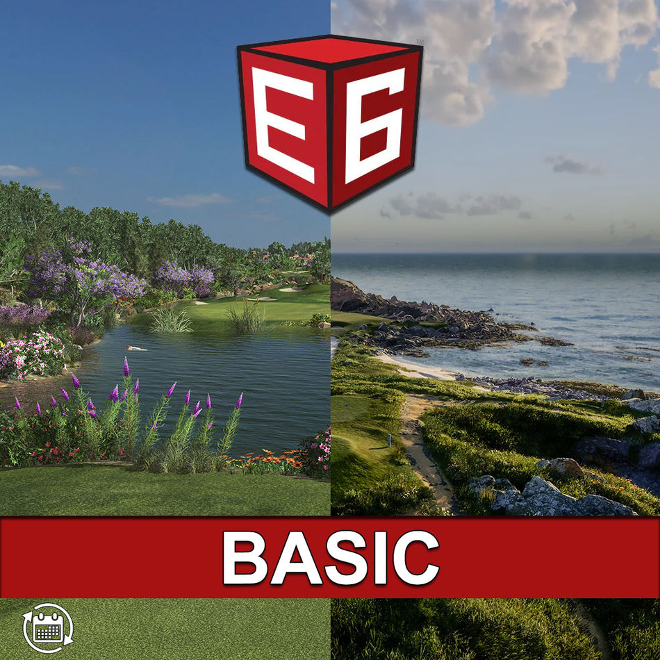 E6 Basic - Annual Subscription