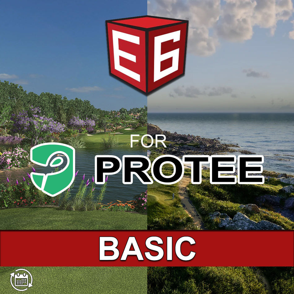 E6 Basic for ProTee VX - Annual Subscription with Connector