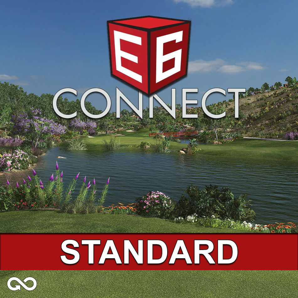 E6 Connect Standard - Perpetual