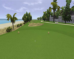 P3ProSwing Level IX Course Pack - Perpetual