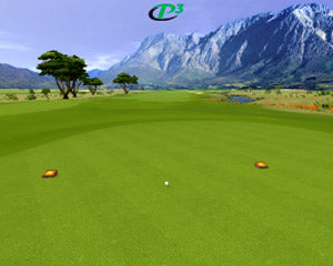 P3ProSwing Level VIII Course Pack - Perpetual